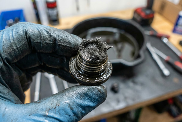 Magnetic drain plug with metal swarf